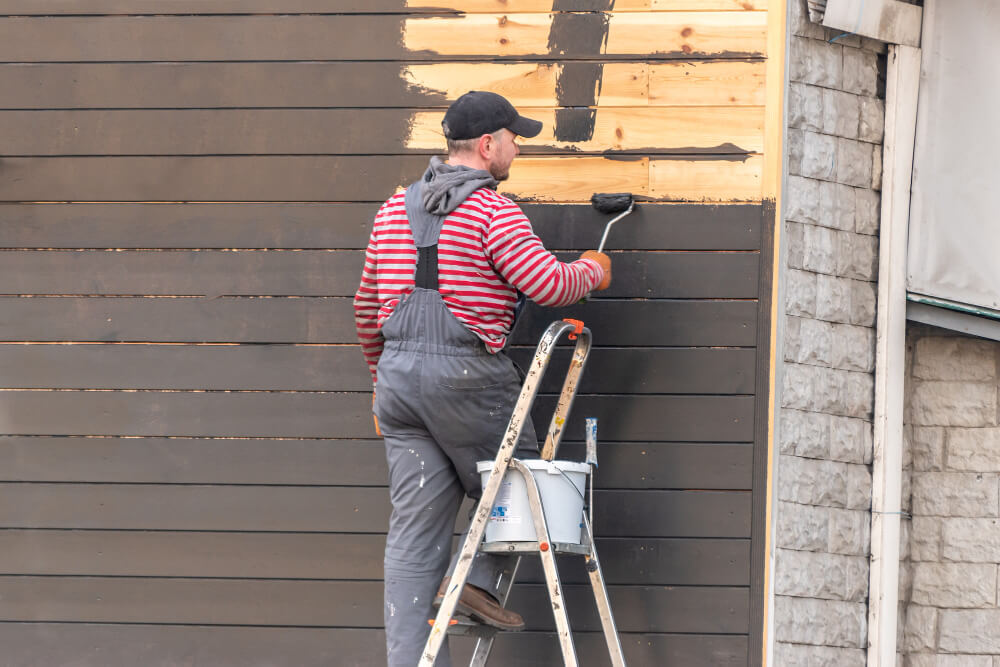 House Siding Replacement expert